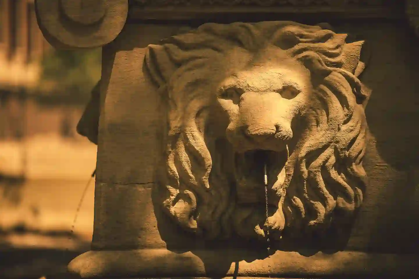 Indiana Health Opportunities for People Everywhere (I-HOPE) Image